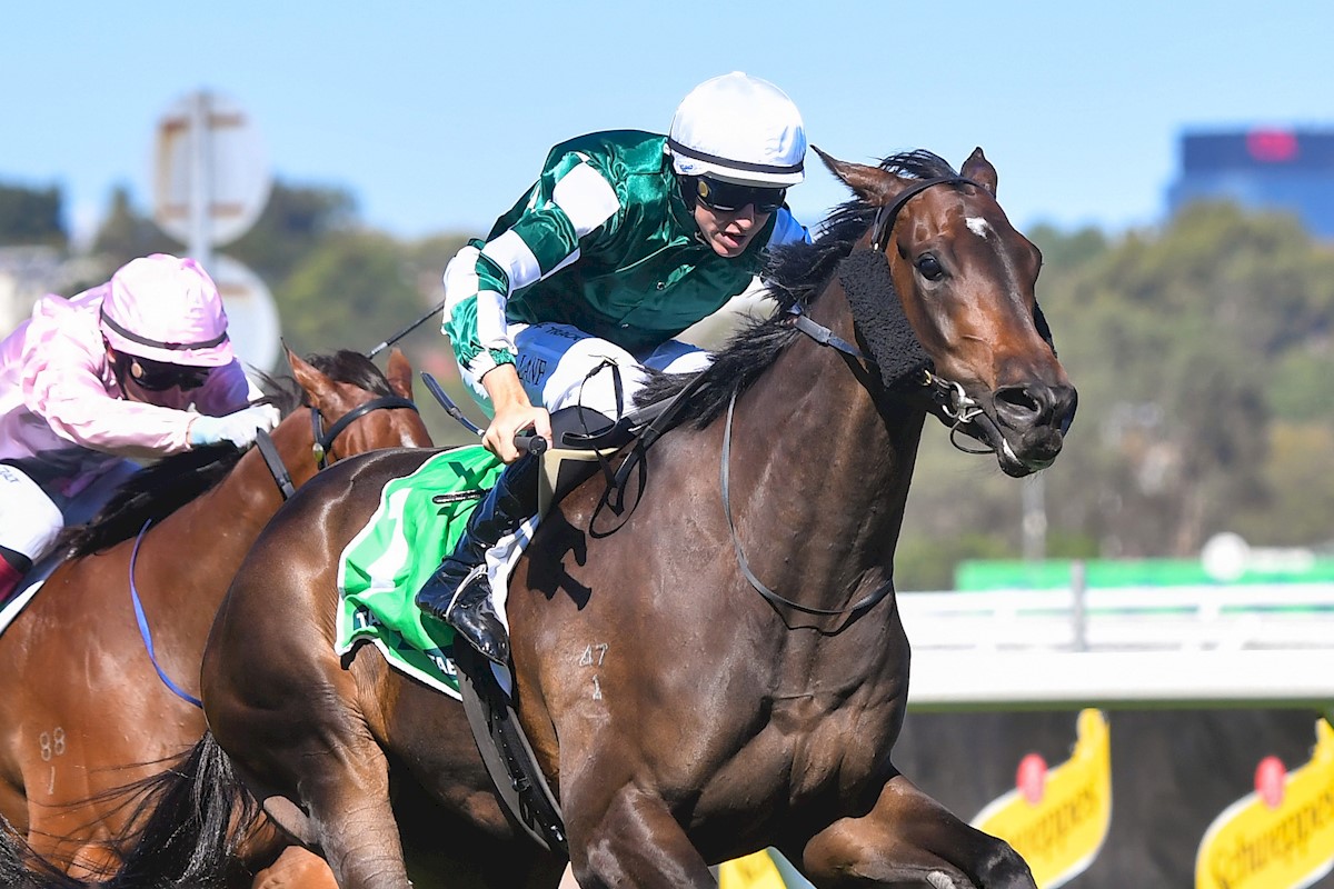 Treasurethe Moment & Damian Lane - Kewney Stakes Treasurethe Moment & Damian Lane - Kewney Stakes